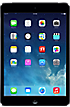 Apple iPad mini 16GB in Black Slate