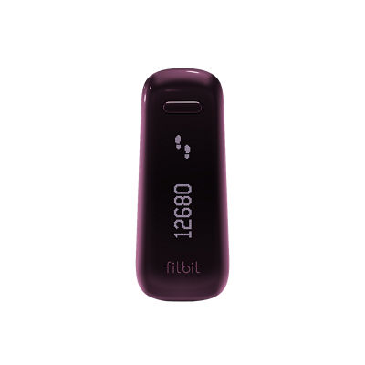 fitbit plus