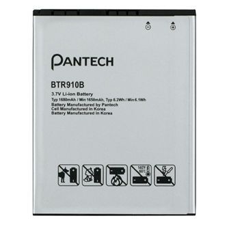 Standard Battery Picture