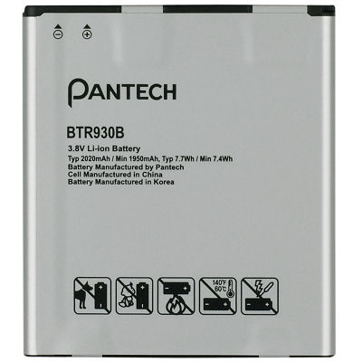 Standard Battery Picture