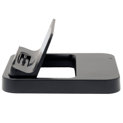 Desktop Dock Picture